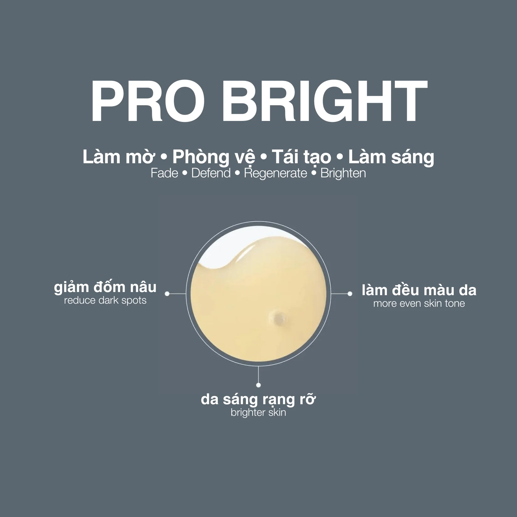Alternative view of Pro Bright